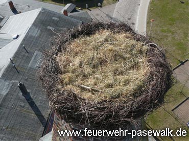 Foto: &copy; Copyright: J. Kr�ger, Verwendung nur in den engen Grenzen des Urheberrechtes, und nur mit Zustimmung des Autors erlaubt!