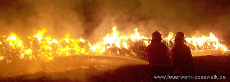 Foto: &copy; Copyright: E. Franz, Verwendung nur in den engen Grenzen des Urheberrechtes, und nur mit Zustimmung des Autors erlaubt!