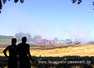 Die Zuschauer hatten ein schattiges Pl�tzchen