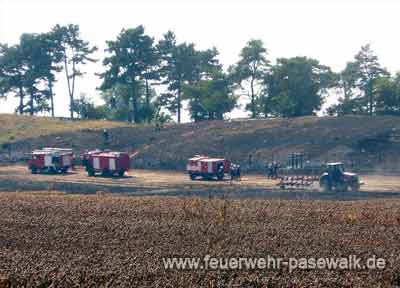 Der Brand bedrohte die B�ume