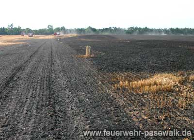 Foto: &copy; Copyright: M. Dummer, Verwendung nur in den engen Grenzen des Urheberrechtes, und nur mit Zustimmung des Autors erlaubt!
