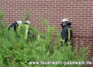 Foto: &copy; Copyright: FF Pasewalk, Verwendung nur in den engen Grenzen des Urheberrechtes, und nur mit Zustimmung des Autors erlaubt!