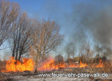 Foto: &copy; Copyright: Michael Dummer, Verwendung nur in den engen Grenzen des Urheberrechtes, und nur mit Zustimmung des Autors erlaubt!