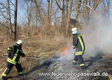 Foto: &copy; Copyright: Michael Dummer, Verwendung nur in den engen Grenzen des Urheberrechtes, und nur mit Zustimmung des Autors erlaubt!