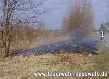 Foto: &copy; Copyright: FF Pasewalk, Verwendung nur in den engen Grenzen des Urheberrechtes, und nur mit Zustimmung des Autors erlaubt!