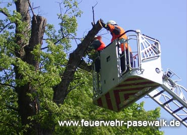 Foto: &copy; Copyright: FF Pasewalk, Verwendung nur in den engen Grenzen des Urheberrechtes, und nur mit Zustimmung des Autors erlaubt!