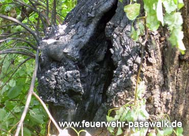 Foto: &copy; Copyright: FF Pasewalk, Verwendung nur in den engen Grenzen des Urheberrechtes, und nur mit Zustimmung des Autors erlaubt!