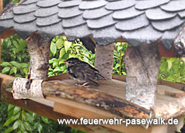 Foto: &copy; Copyright: FF Pasewalk, Verwendung nur in den engen Grenzen des Urheberrechtes, und nur mit Zustimmung des Autors erlaubt!