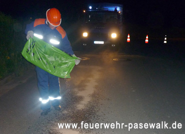 Foto: &copy; Copyright: JFw Pasewalk, Verwendung nur in den engen Grenzen des Urheberrechtes, und nur mit Zustimmung des Autors erlaubt!