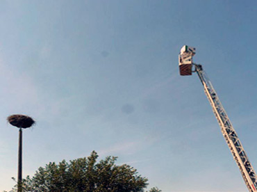 Foto: &copy; Copyright: J. Kr�ger, Verwendung nur in den engen Grenzen des Urheberrechtes, und nur mit Zustimmung des Autors erlaubt!