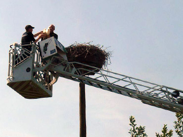 Foto: &copy; Copyright: J. Kr�ger, Verwendung nur in den engen Grenzen des Urheberrechtes, und nur mit Zustimmung des Autors erlaubt!